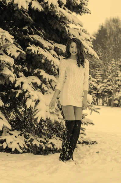 스노우 퀸. 겨울 여인의 모습. — 스톡 사진