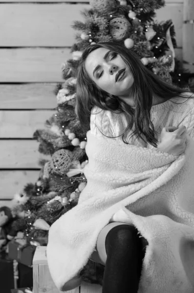 Hermosa mujer sexy con árbol de Navidad en el fondo sentado en una silla elegante en un paisaje acogedor. Retrato de niña posando vestido blanco ajustado bastante corto. Atractiva morena femenina, tiro de interior . —  Fotos de Stock