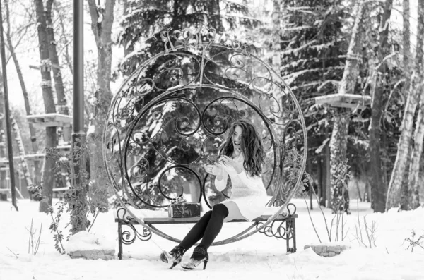 Sněhová královno. Portrét zimní ženy. — Stock fotografie