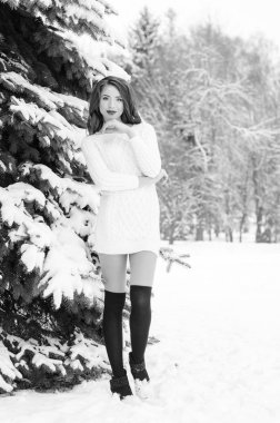 Kar Kraliçesi. Bir kış kadınının portresi.