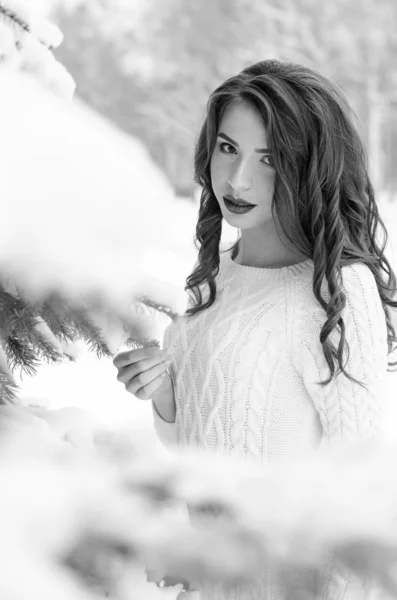 Reina de la nieve. Retrato de una mujer de invierno . —  Fotos de Stock