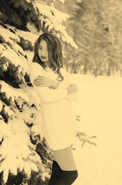 Ratu Salju. Potret seorang wanita musim dingin . — Stok Foto