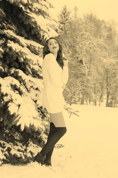 Βασίλισσα του χιονιού. Πορτραίτο μιας γυναίκας του χειμώνα. — Φωτογραφία Αρχείου