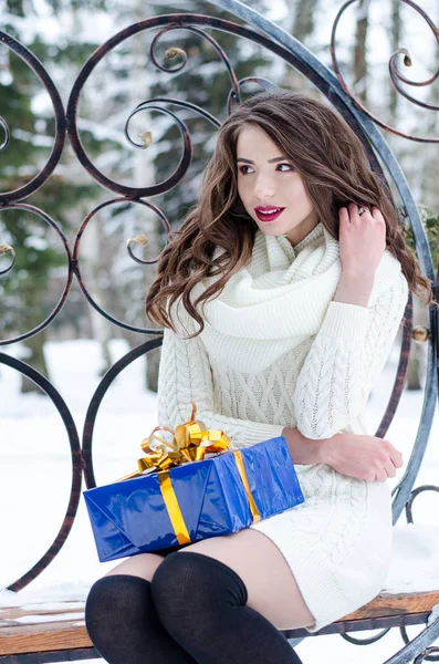 Rainha da neve. Retrato de uma mulher de inverno . — Fotografia de Stock