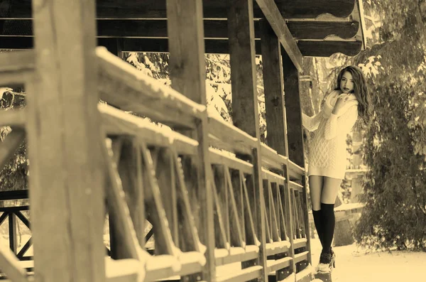 Reina de la nieve. Retrato de una mujer de invierno . —  Fotos de Stock