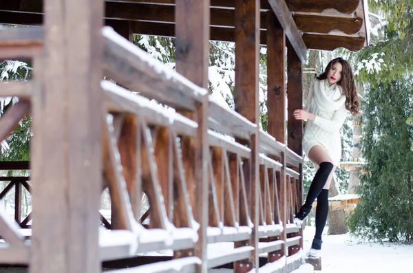 Reine des neiges. Portrait d'une femme d'hiver . — Photo