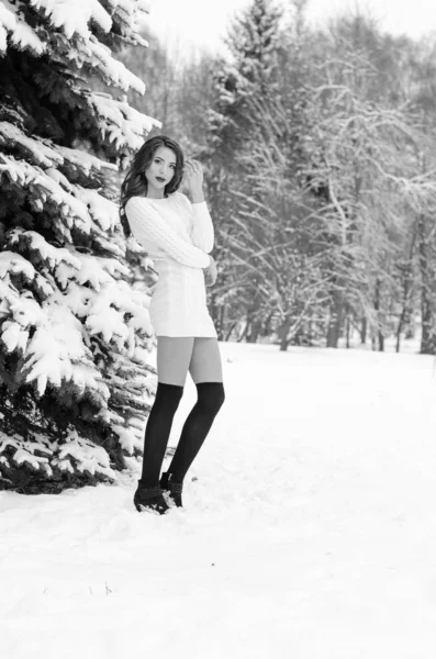 Reina de la nieve. Retrato de una mujer de invierno . —  Fotos de Stock