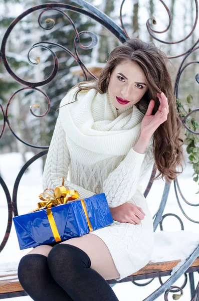 Snow queen. Portrait of a winter woman. — Stock Photo, Image