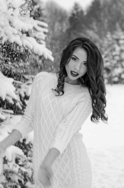 Kar Kraliçesi. Bir kış kadınının portresi.