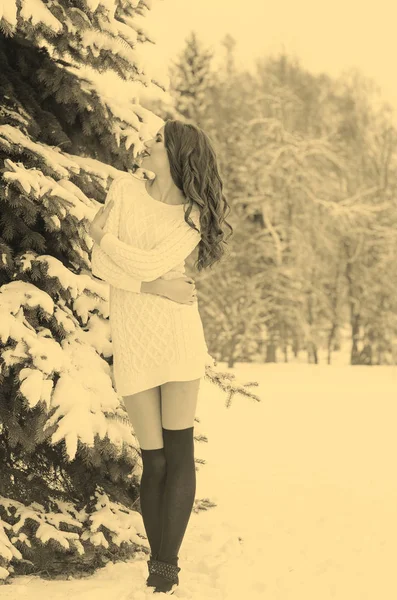 Snow queen. Portrait of a winter woman. — Stock Photo, Image