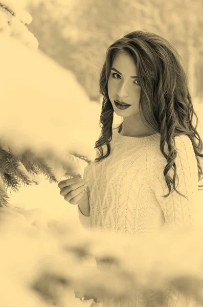 Βασίλισσα του χιονιού. Πορτραίτο μιας γυναίκας του χειμώνα. — Φωτογραφία Αρχείου