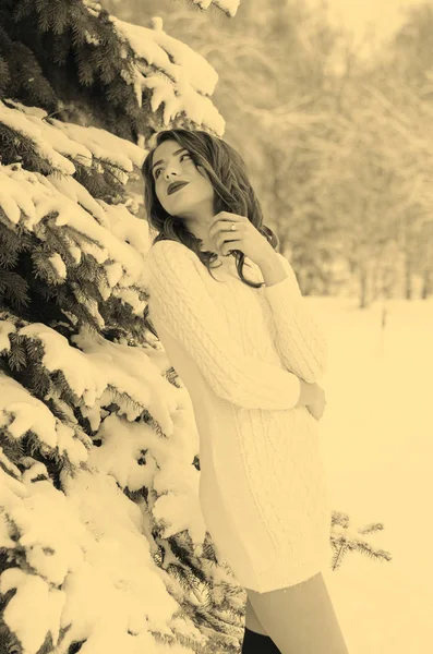 Reine des neiges. Portrait d'une femme d'hiver . — Photo