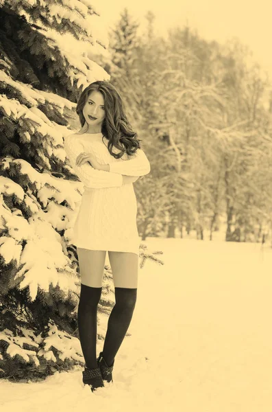 Снігова королева. Портрет зимової жінки . — стокове фото