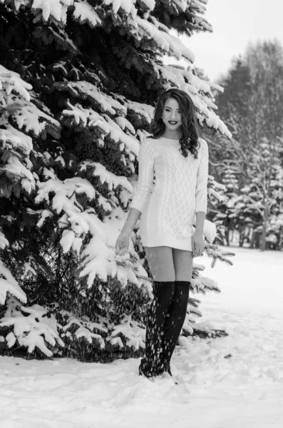 Reina de la nieve. Retrato de una mujer de invierno . — Foto de Stock