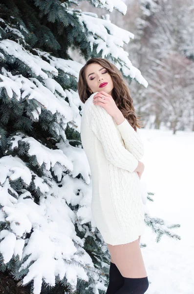 Reina de la nieve. Retrato de una mujer de invierno . —  Fotos de Stock