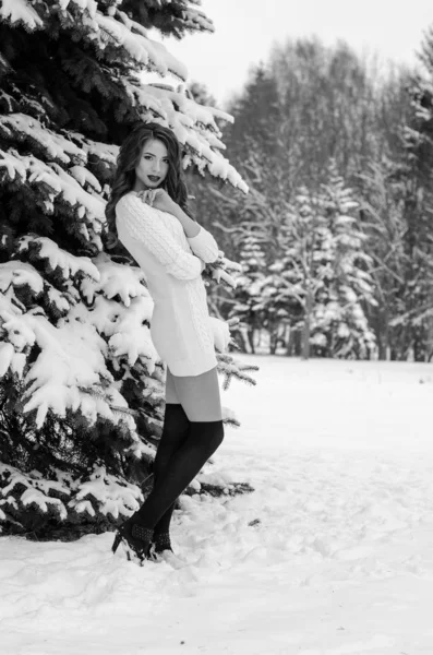 Reina de la nieve. Retrato de una mujer de invierno . —  Fotos de Stock