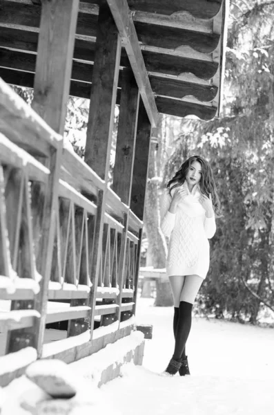 Reina de la nieve. Retrato de una mujer de invierno . —  Fotos de Stock