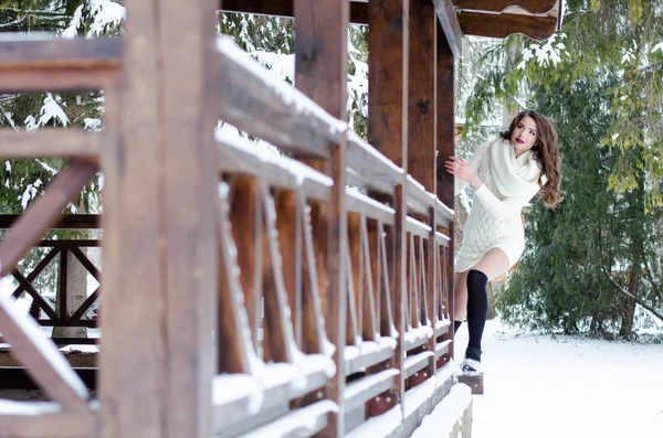 Reine des neiges. Portrait d'une femme d'hiver . — Photo