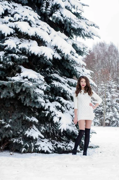 Reina de la nieve. Retrato de una mujer de invierno . —  Fotos de Stock