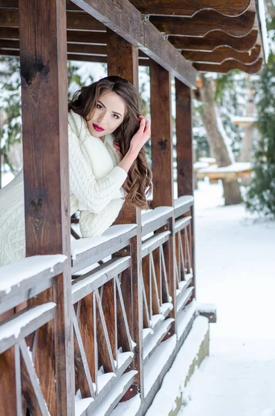 Rainha da neve. Retrato de uma mulher de inverno . — Fotografia de Stock