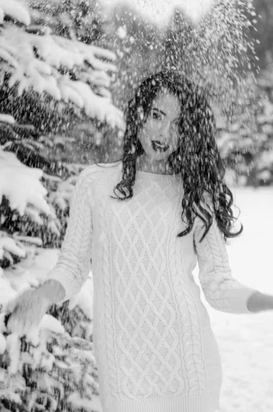 Snow queen. Portrait of a winter woman. — Stock Photo, Image