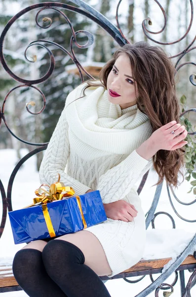 Rainha da neve. Retrato de uma mulher de inverno . — Fotografia de Stock