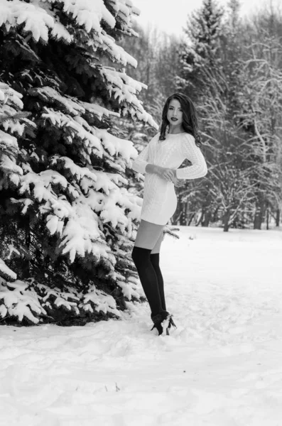 Reina de la nieve. Retrato de una mujer de invierno . —  Fotos de Stock