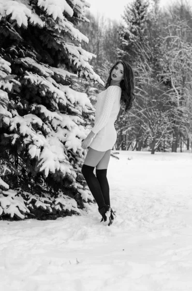 Reina de la nieve. Retrato de una mujer de invierno . — Foto de Stock