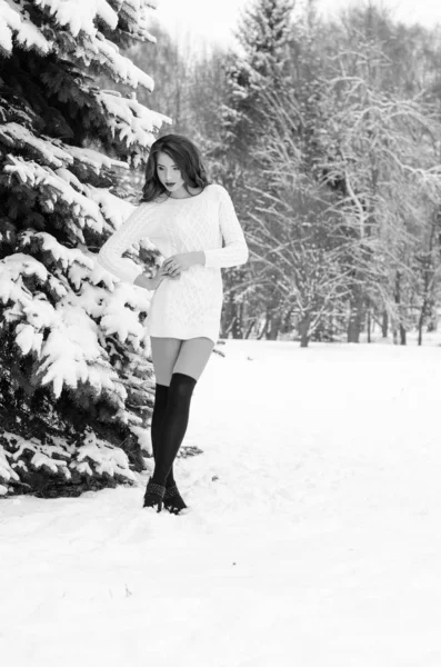 Reina de la nieve. Retrato de una mujer de invierno . —  Fotos de Stock