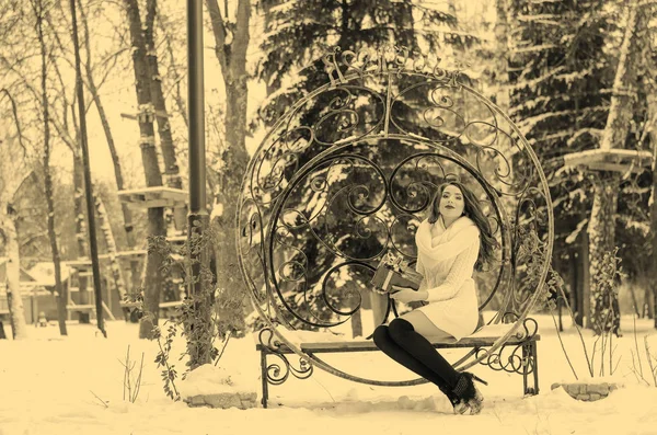 Rainha da neve. Retrato de uma mulher de inverno . — Fotografia de Stock