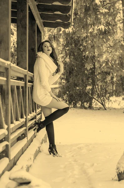 Hókirálynő. Egy téli nő portréja. — Stock Fotó