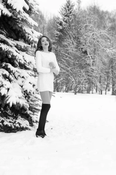 Reina de la nieve. Retrato de una mujer de invierno . —  Fotos de Stock