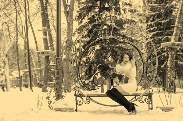 Rainha da neve. Retrato de uma mulher de inverno . — Fotografia de Stock