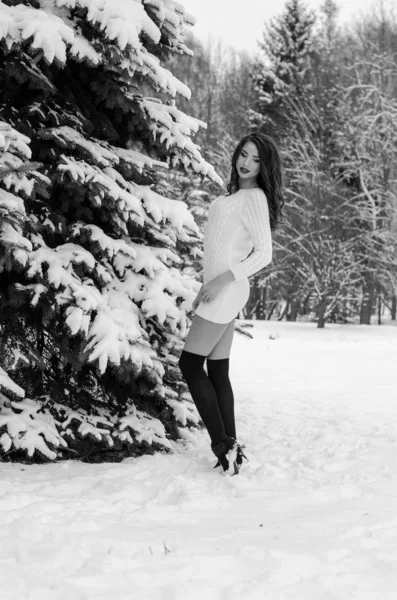 Hókirálynő. Egy téli nő portréja. — Stock Fotó