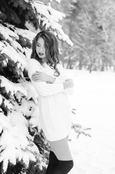 Reine des neiges. Portrait d'une femme d'hiver . — Photo