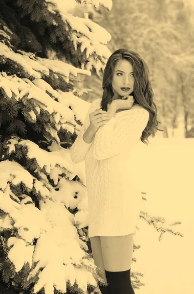 Rainha da neve. Retrato de uma mulher de inverno . — Fotografia de Stock