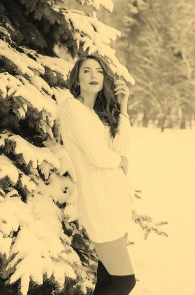 Rainha da neve. Retrato de uma mulher de inverno . — Fotografia de Stock