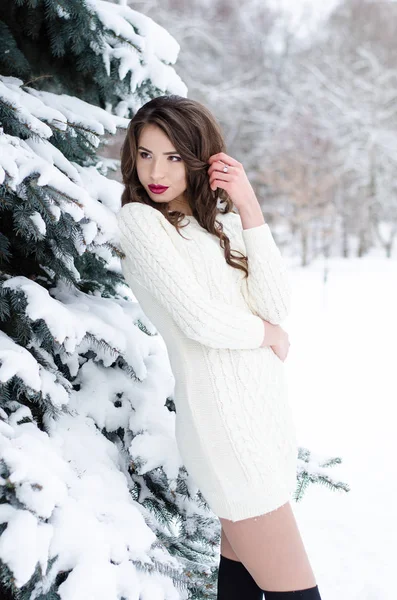 Rainha da neve. Retrato de uma mulher de inverno . — Fotografia de Stock