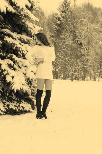 Reina de la nieve. Retrato de una mujer de invierno . —  Fotos de Stock