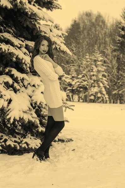 Rainha da neve. Retrato de uma mulher de inverno . — Fotografia de Stock