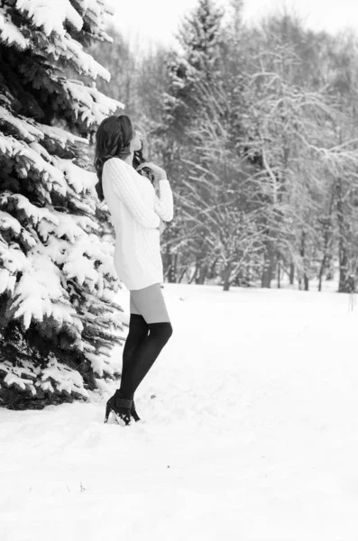 Snow queen. Portrait of a winter woman. — Stock Photo, Image