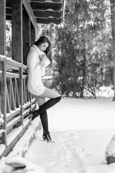 Rainha da neve. Retrato de uma mulher de inverno . — Fotografia de Stock