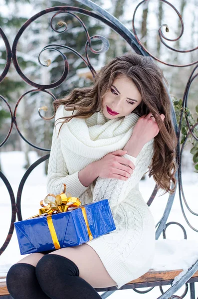 Rainha da neve. Retrato de uma mulher de inverno . — Fotografia de Stock