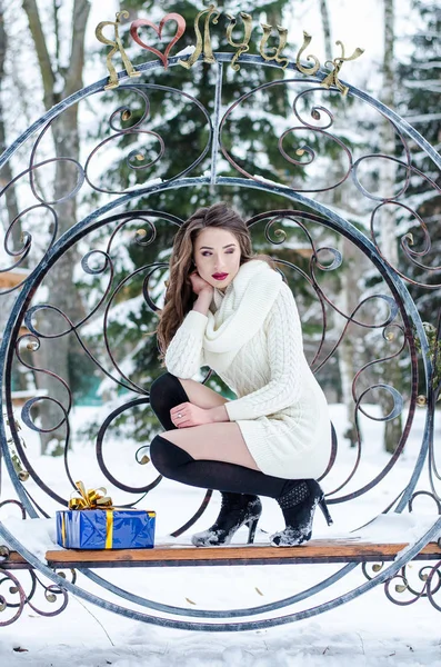 Rainha da neve. Retrato de uma mulher de inverno . — Fotografia de Stock