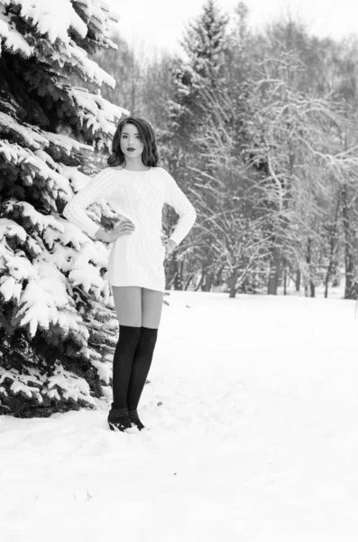Królowa Śniegu. Portret zimowej kobiety. — Zdjęcie stockowe