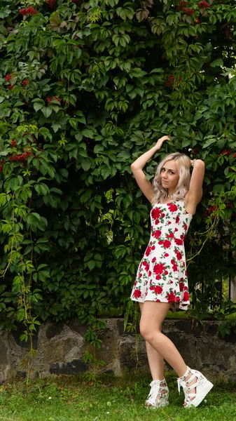 Sexy Blonde Vrouw Zomer Jurk Natuur — Stockfoto