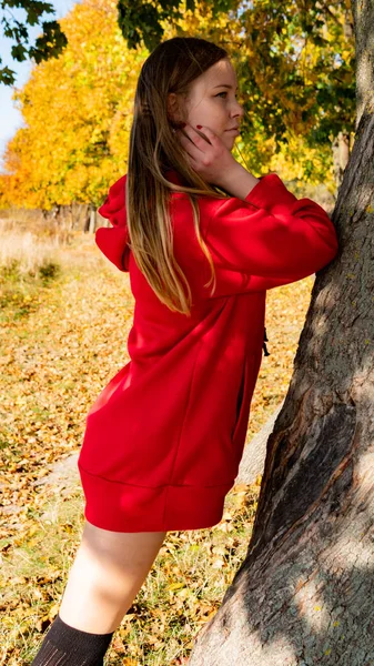 Ongelooflijk prachtig meisje in een rode jurk. De achtergrond is fantastisch herfst. Artistieke fotografie. — Stockfoto