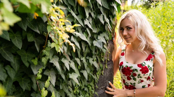 Portrait of beautiful girl in field — Stock Photo, Image