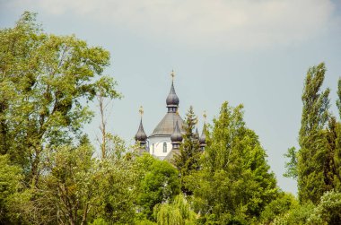 Yeşillik yemyeşil, kilise arka planda güneş ışığı