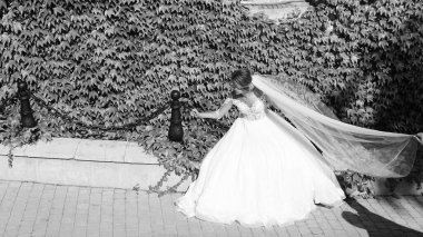 Gelin ve damat yaz park açık havada walking away.